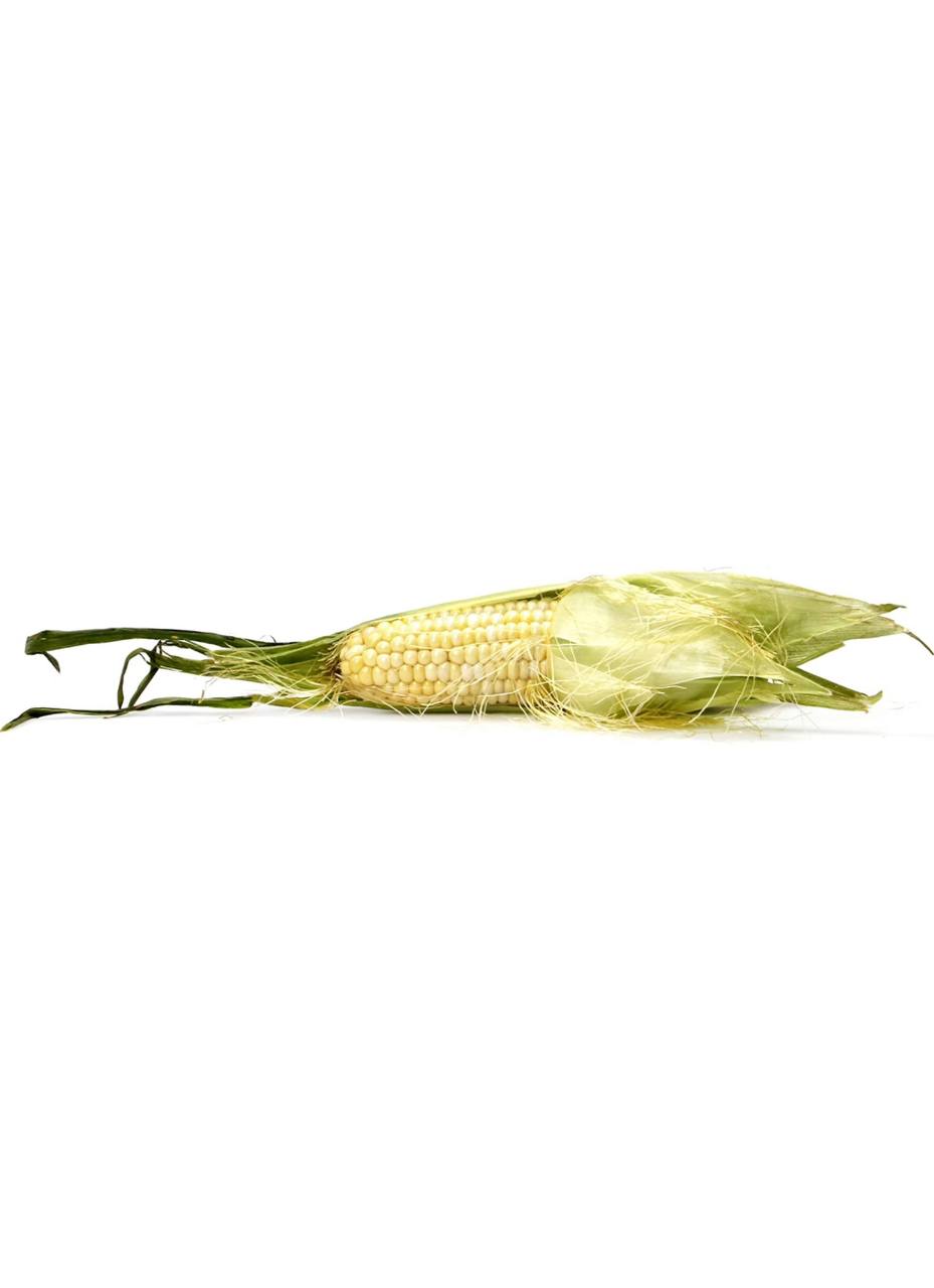 Organic White Corn each