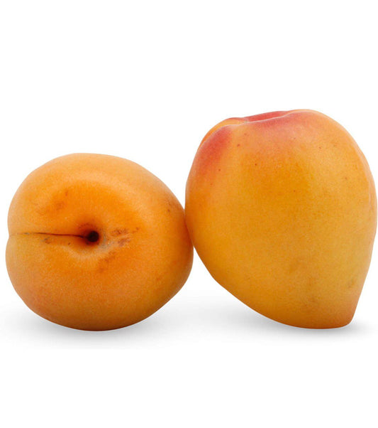 Organic Apricots lb