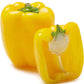 Organic Bell Pepper each
