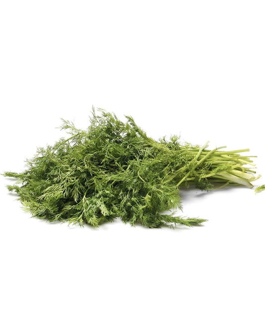 Organic Herb Dill bunch