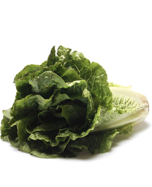 Organic Lettuce Romaine bunch