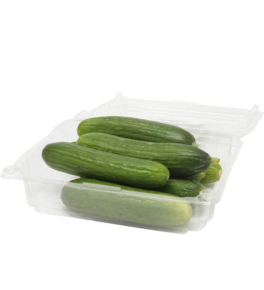 Organic Persian Cucumber lb