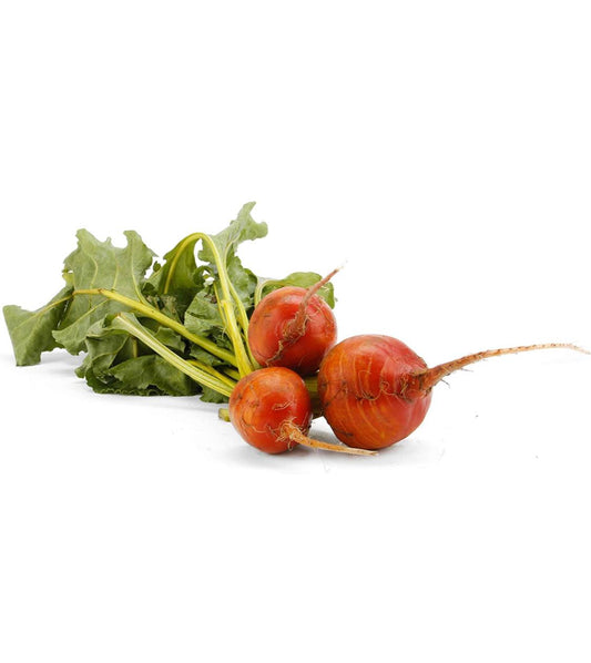 Organic Red Beets bunch