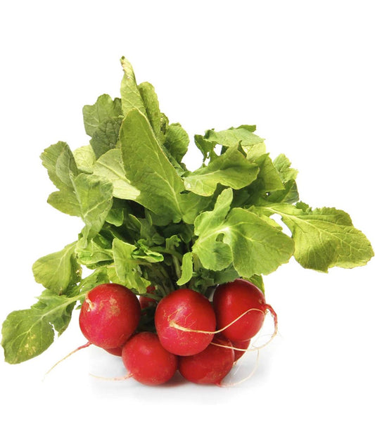 Organic Red Radish bunch