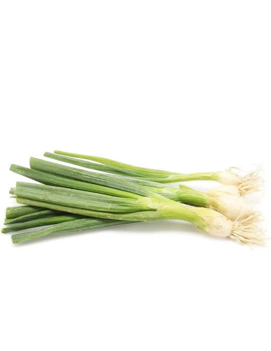 Organic Green Onion bunch